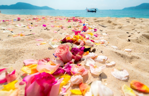 色とりどりの美しい花が撒かれた海岸