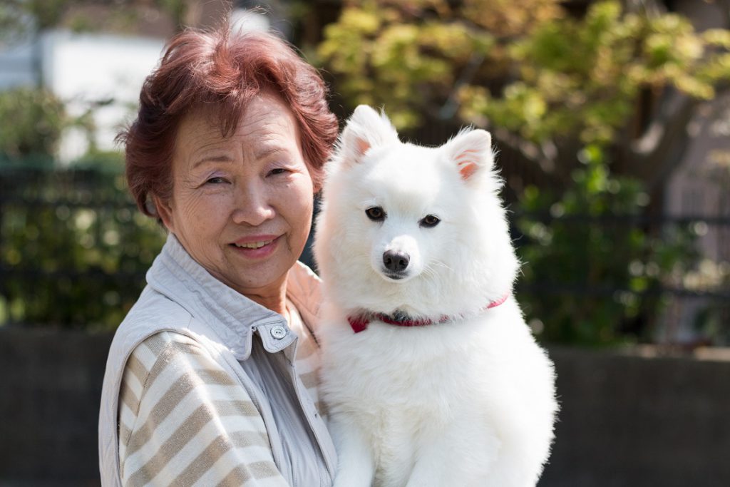 女性に抱き上げられた大型犬