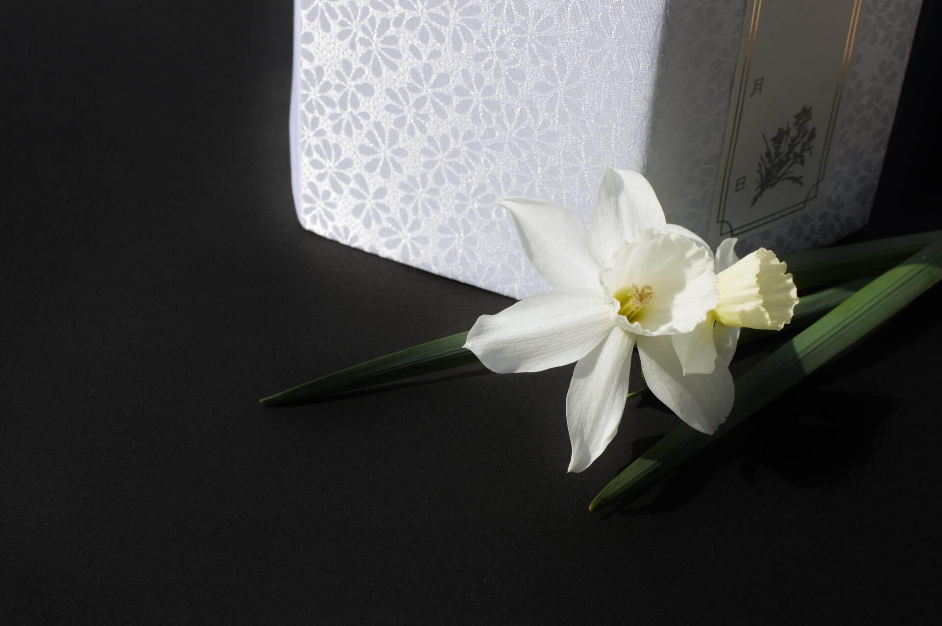 白い花と骨壺