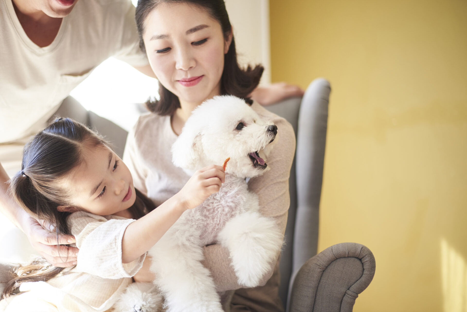 白い犬と家族