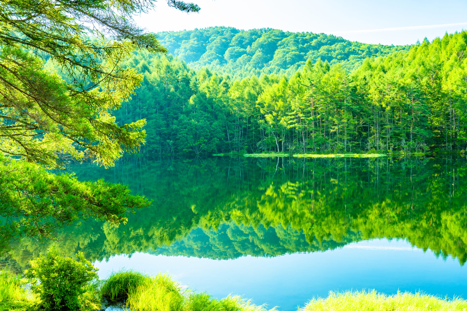 緑の森と湖