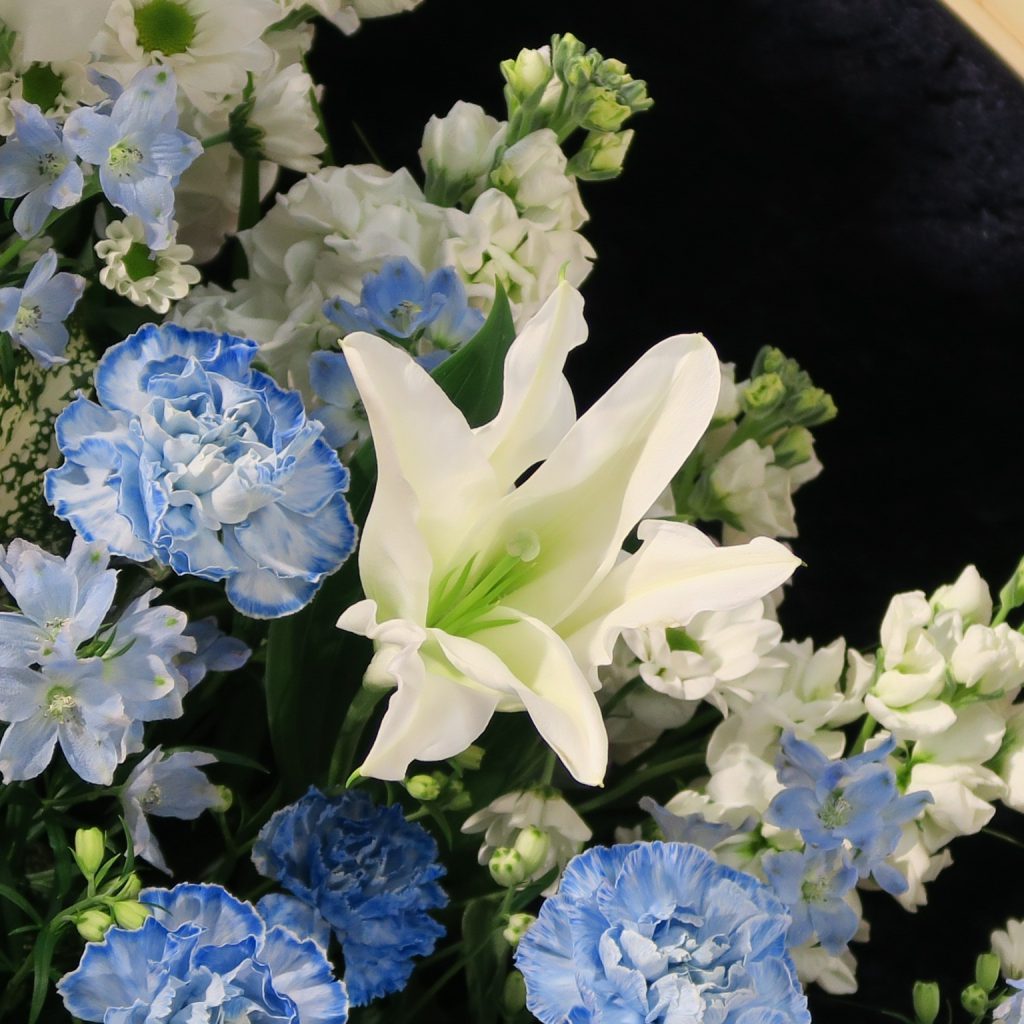 白や青の花
