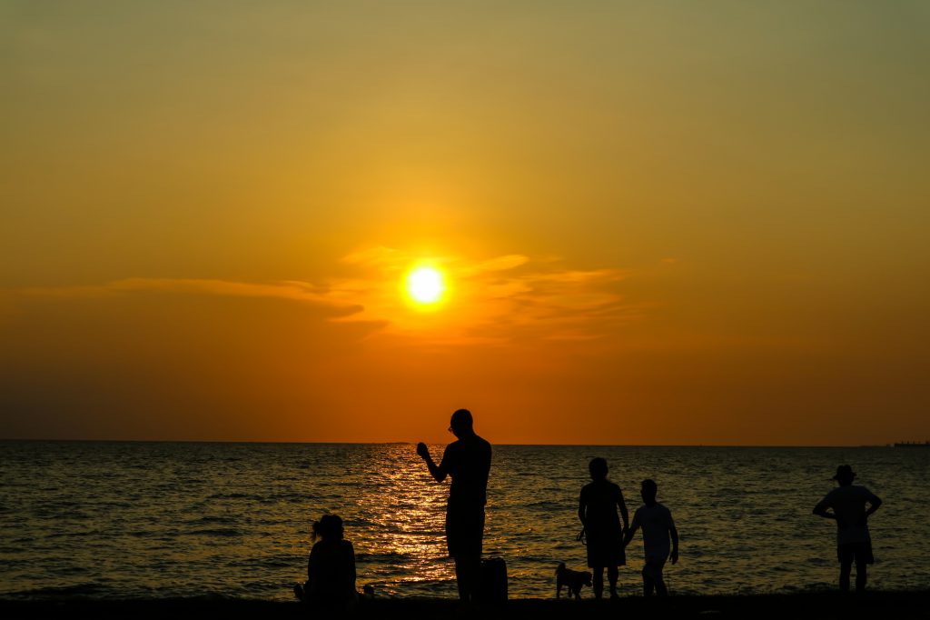 夕方の海辺で過ごす家族とペット
