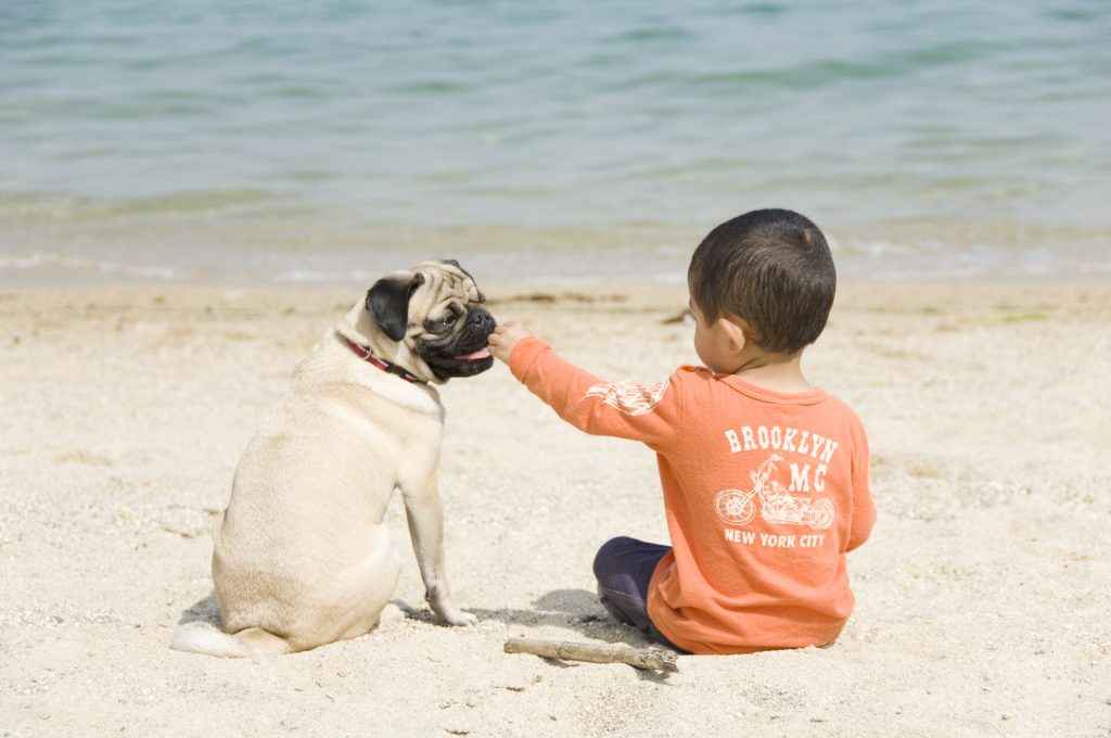 砂浜に座る子供と犬