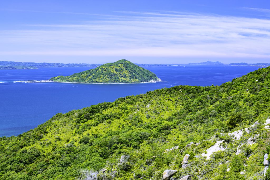 広い海と山