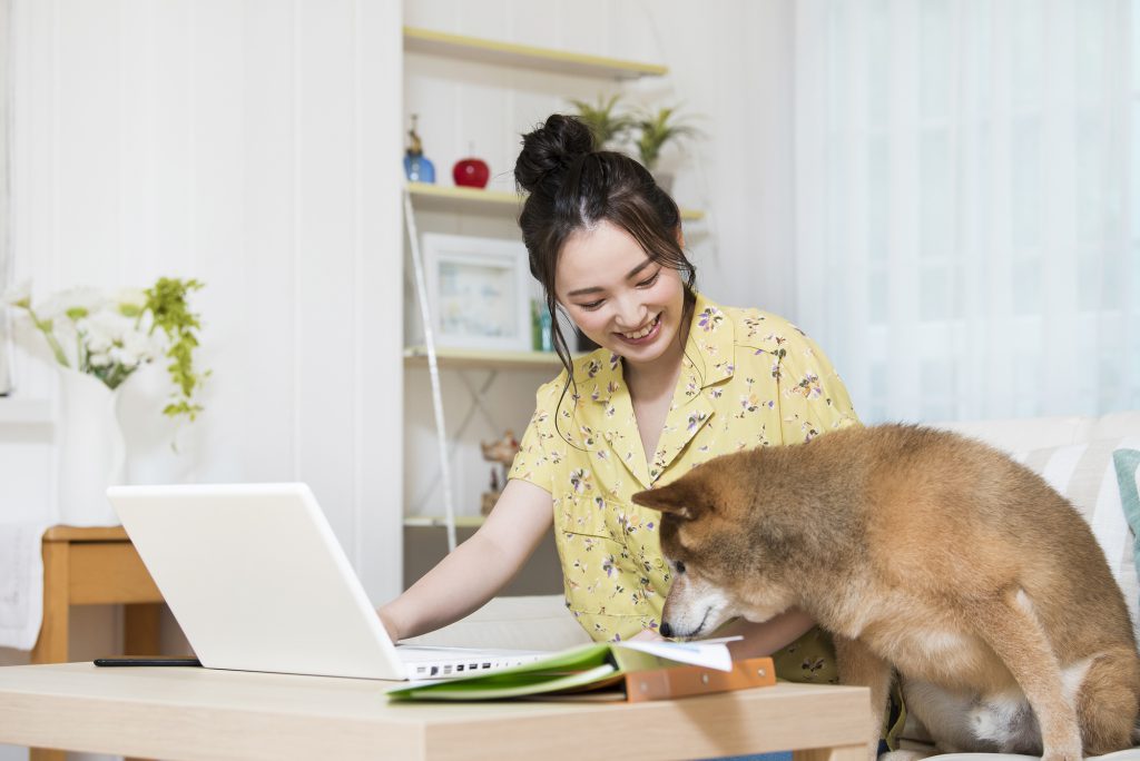 パソコンを見ながら犬と遊ぶ女性