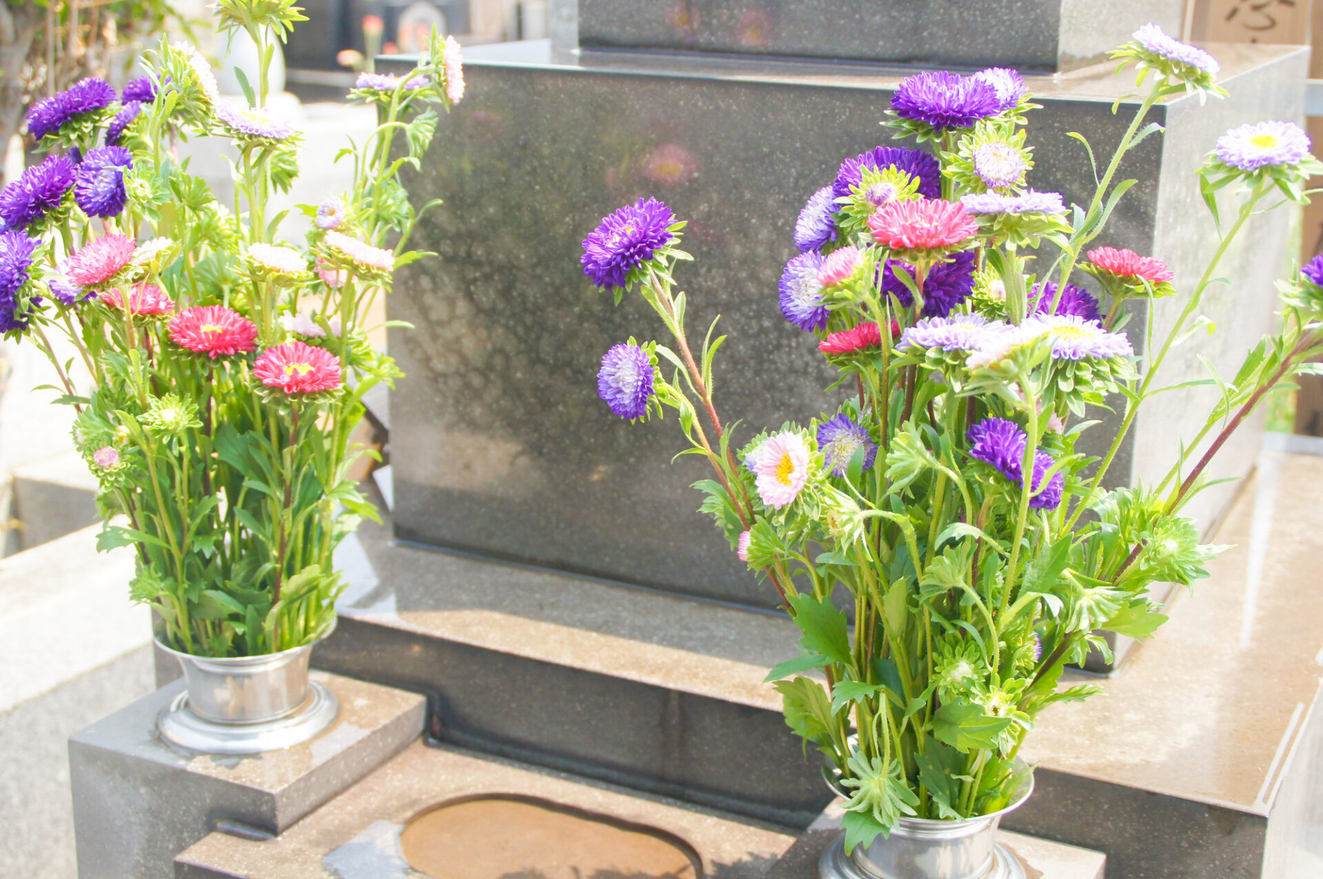 お墓の前に飾られているお花