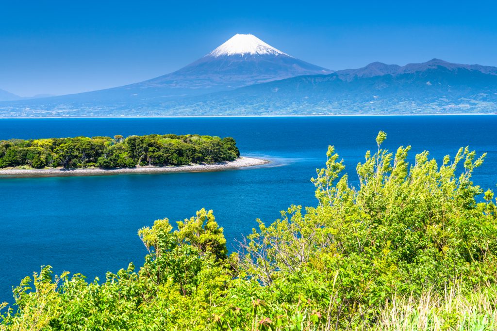 富士山が見える海