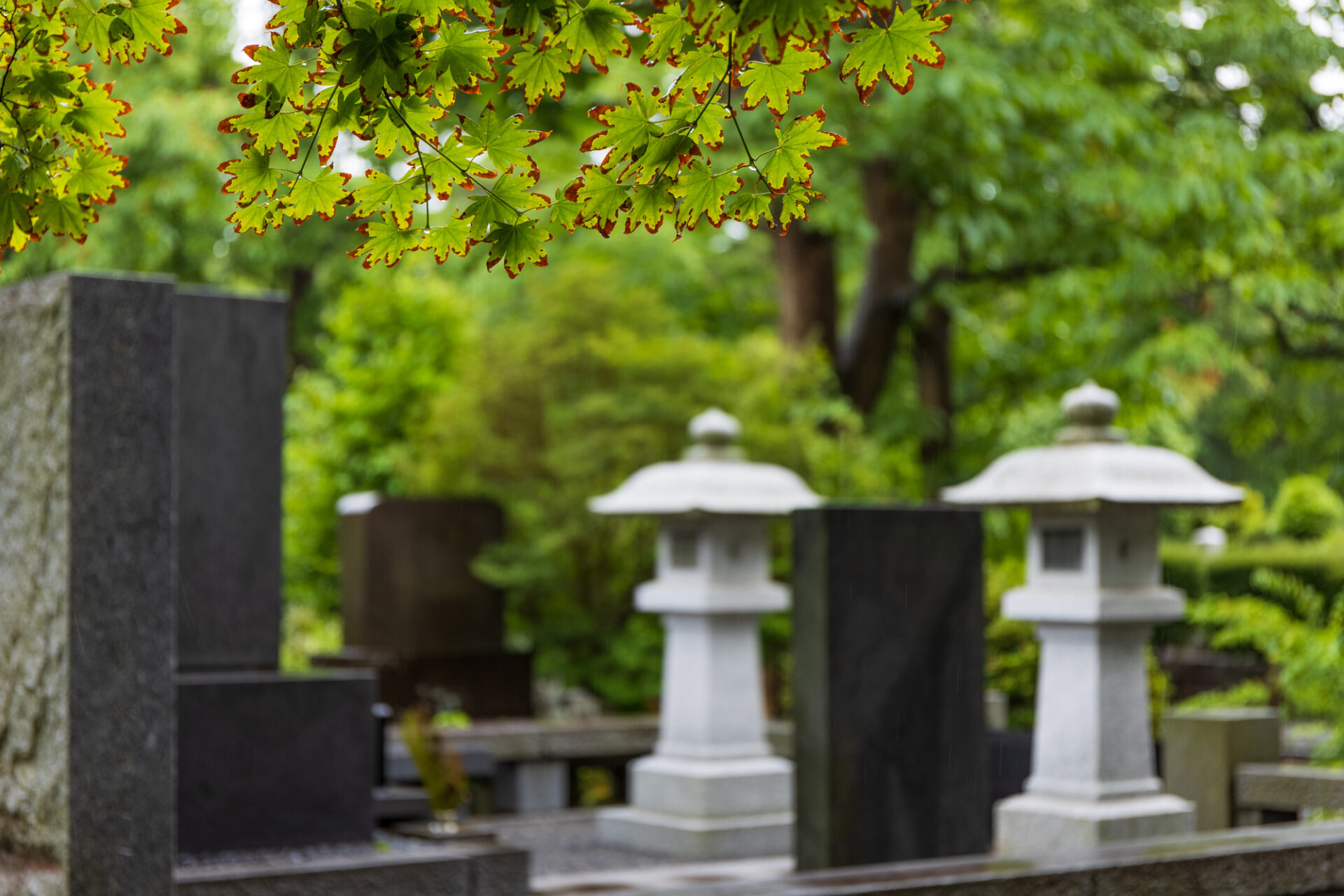 お墓と森