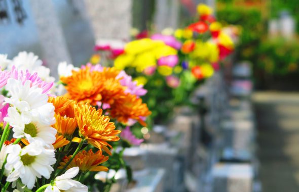 お墓に並ぶきれいな造花