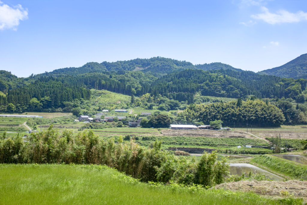 田舎にある山