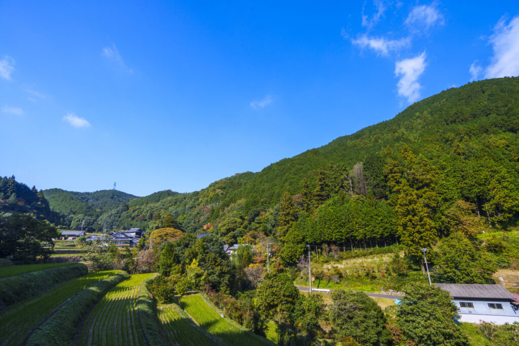 緑豊かな田舎風景