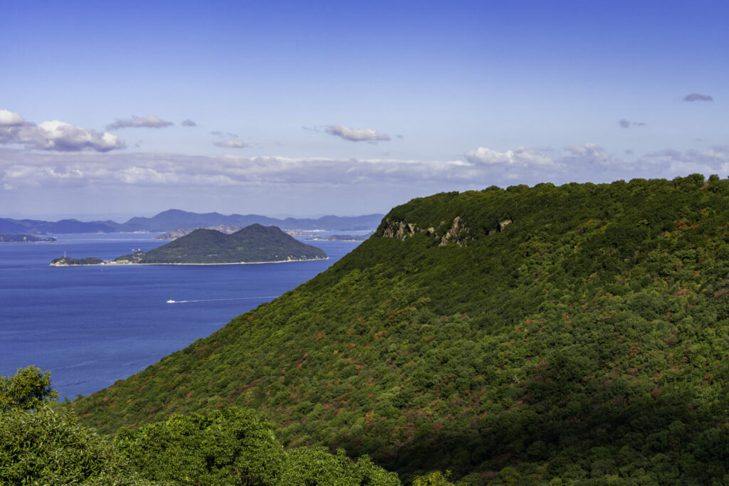 山から見る海