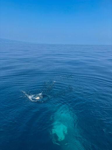 真鶴沖の水平線