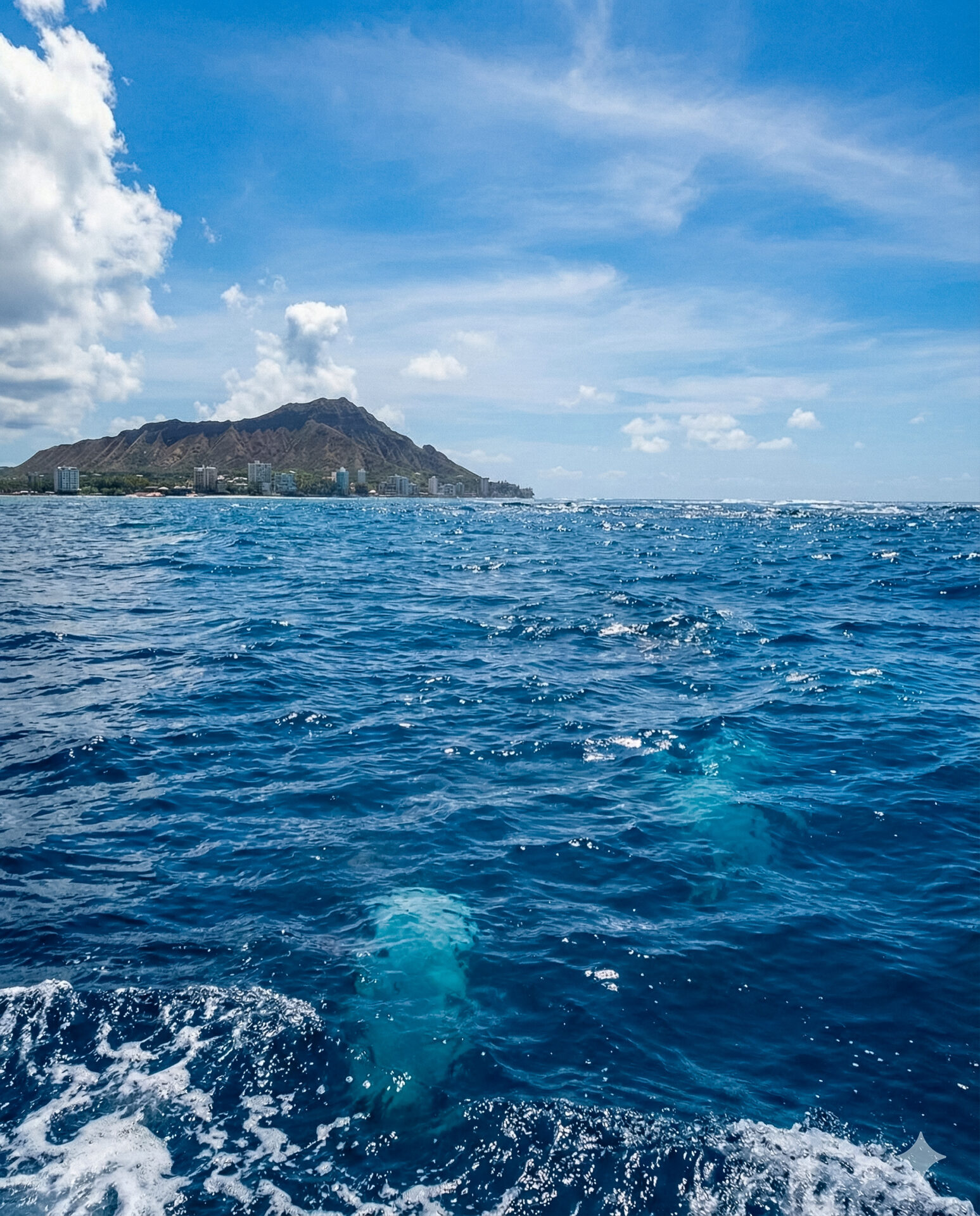 ハワイの海でご遺骨が海に還る