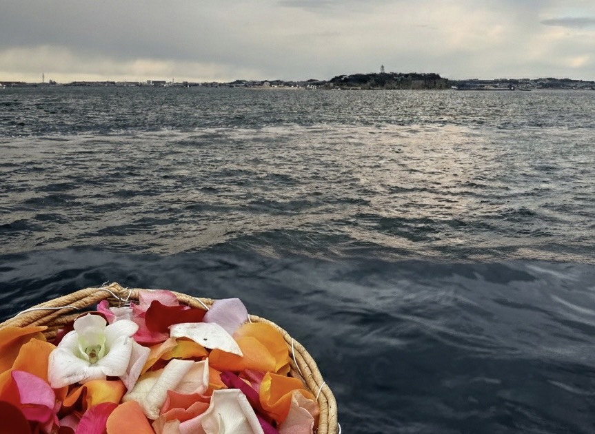 江の島　献花