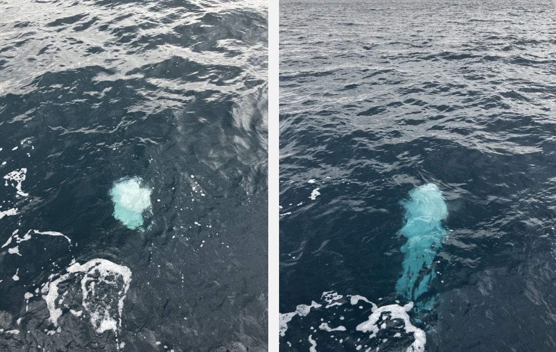 海に還るご遺骨