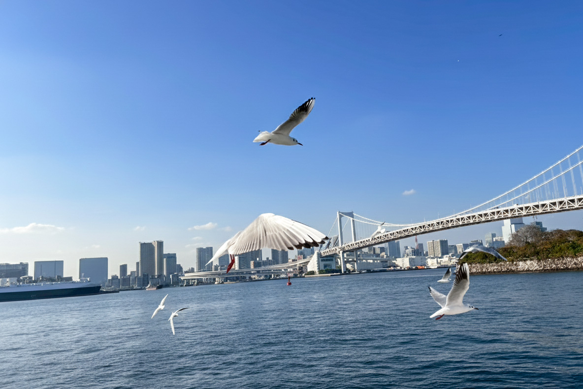 レインボーブリッジとゆりかもめ