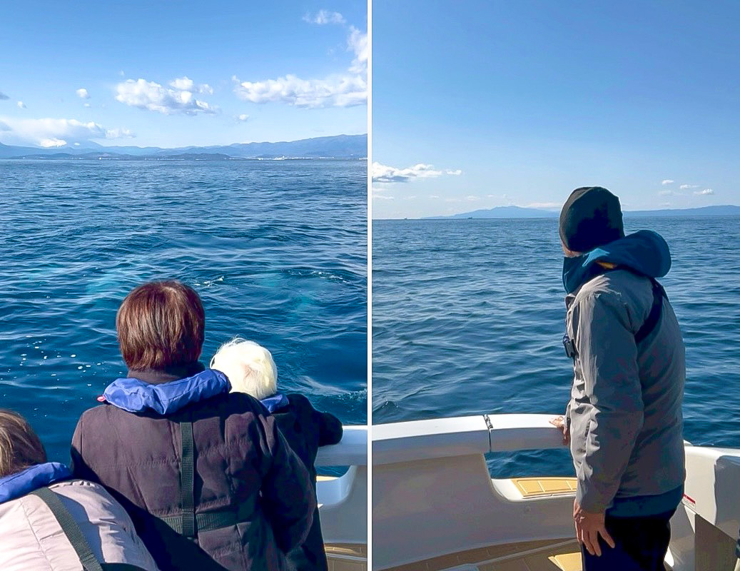 散骨した海を眺めるご家族