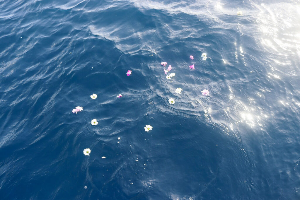 海を漂う献花