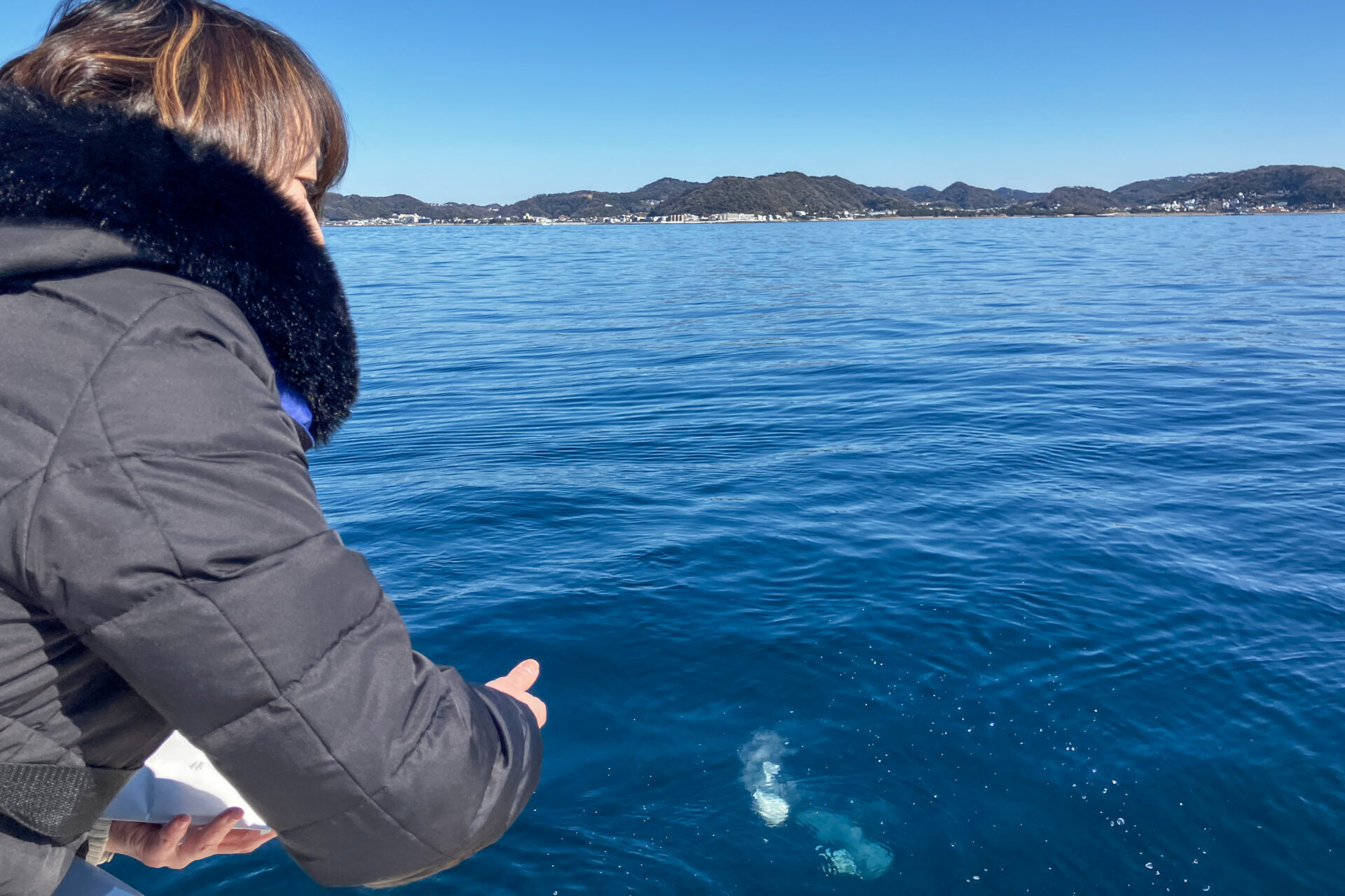 葉山の海へ、清らかに溶けていく瞬間