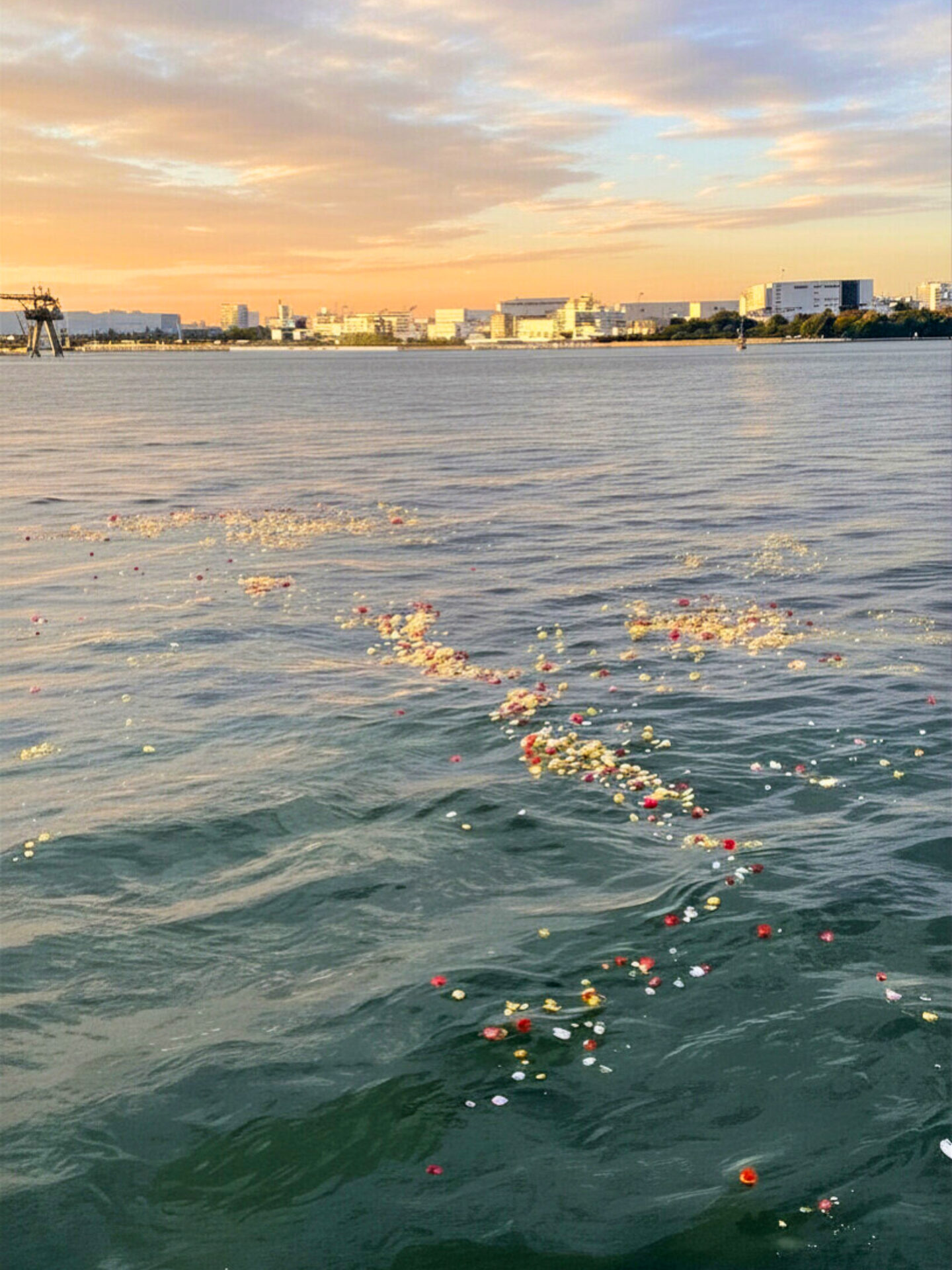海に浮かぶ献花の花びら