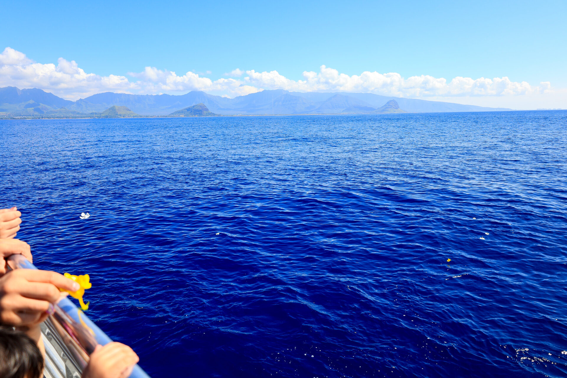 ハワイの海